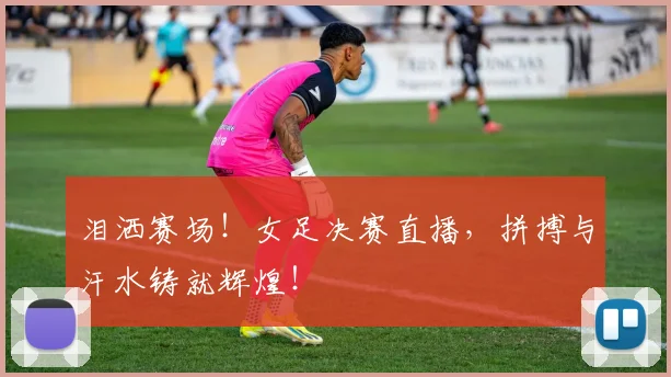 泪洒赛场！女足决赛直播，拼搏与汗水铸就辉煌！